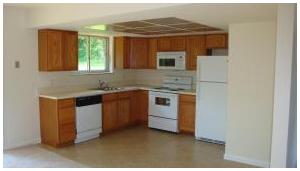 Kitchen Renovation